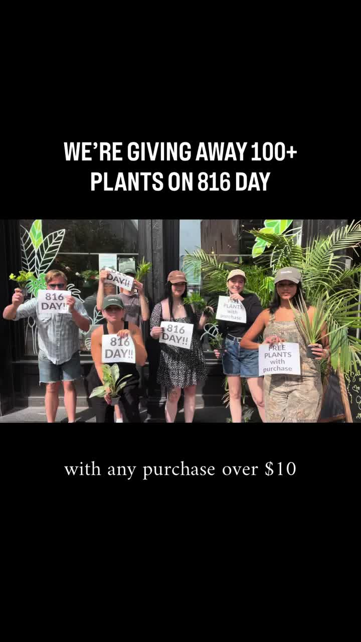 @Rootskc