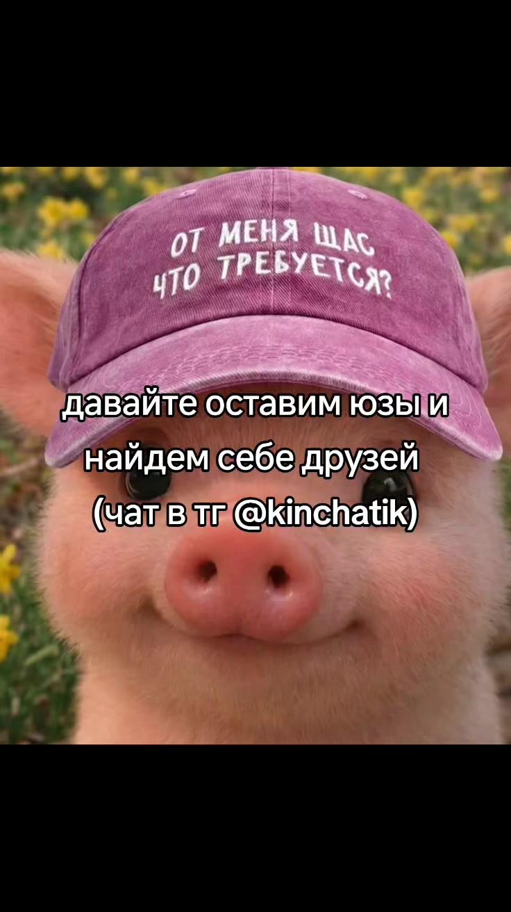 @cqtagger