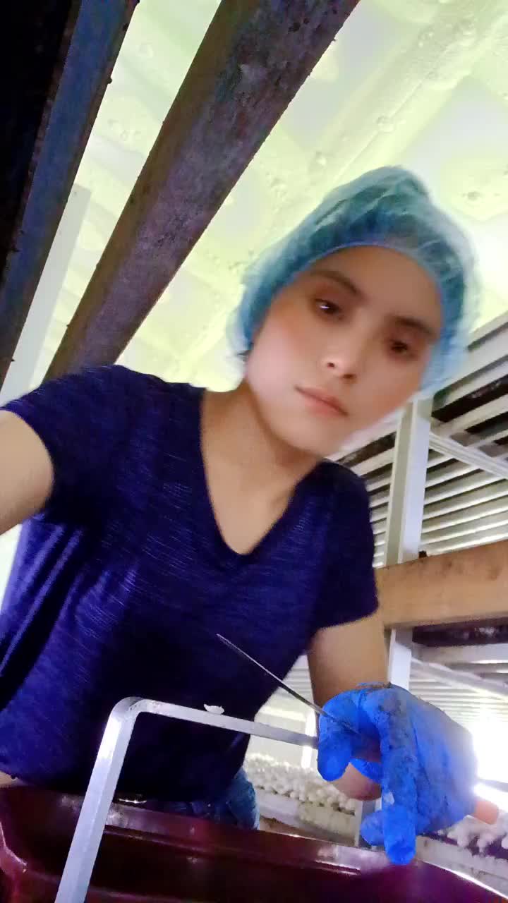 @Sulamita suleyba
