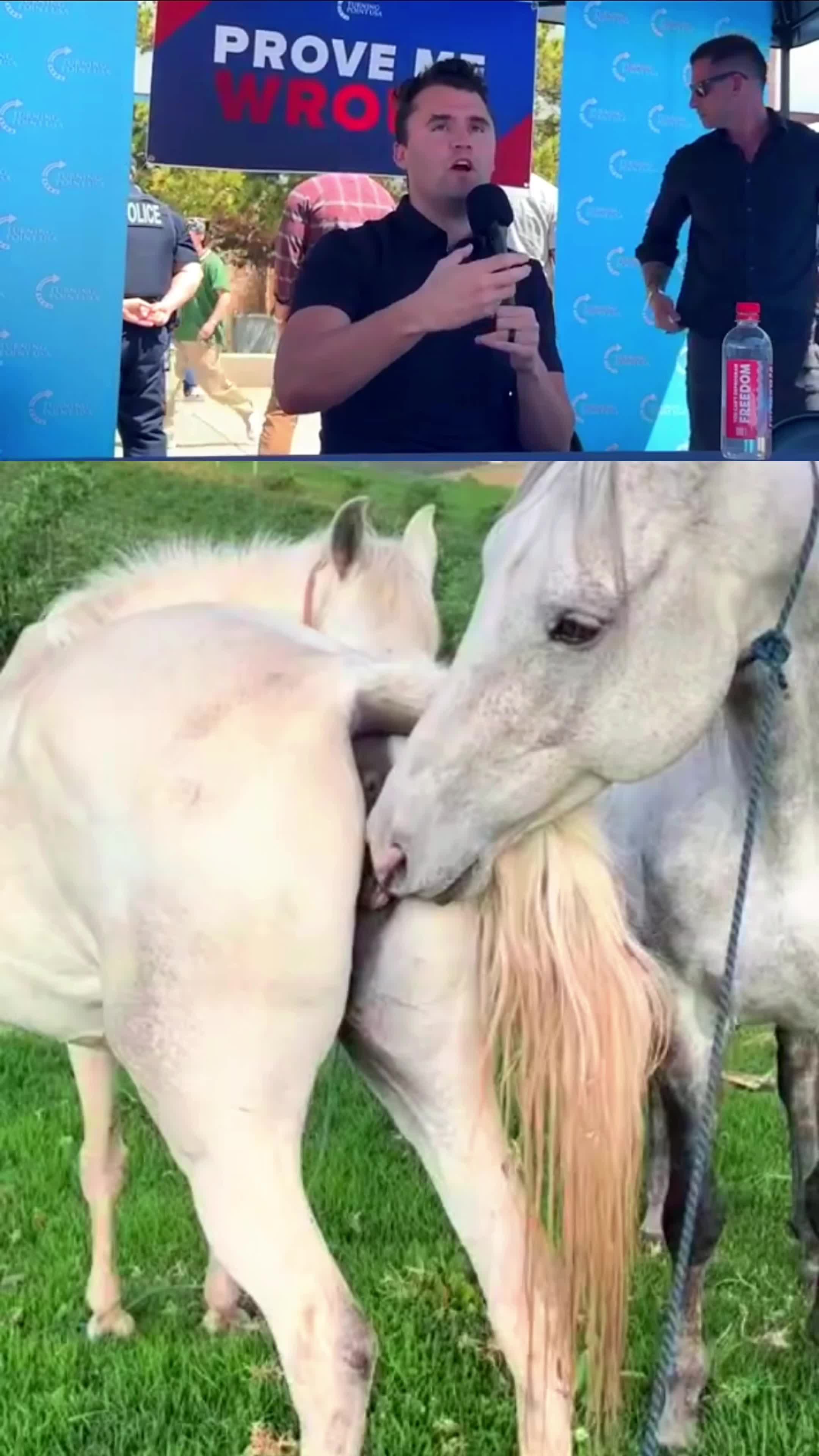 @horselife015