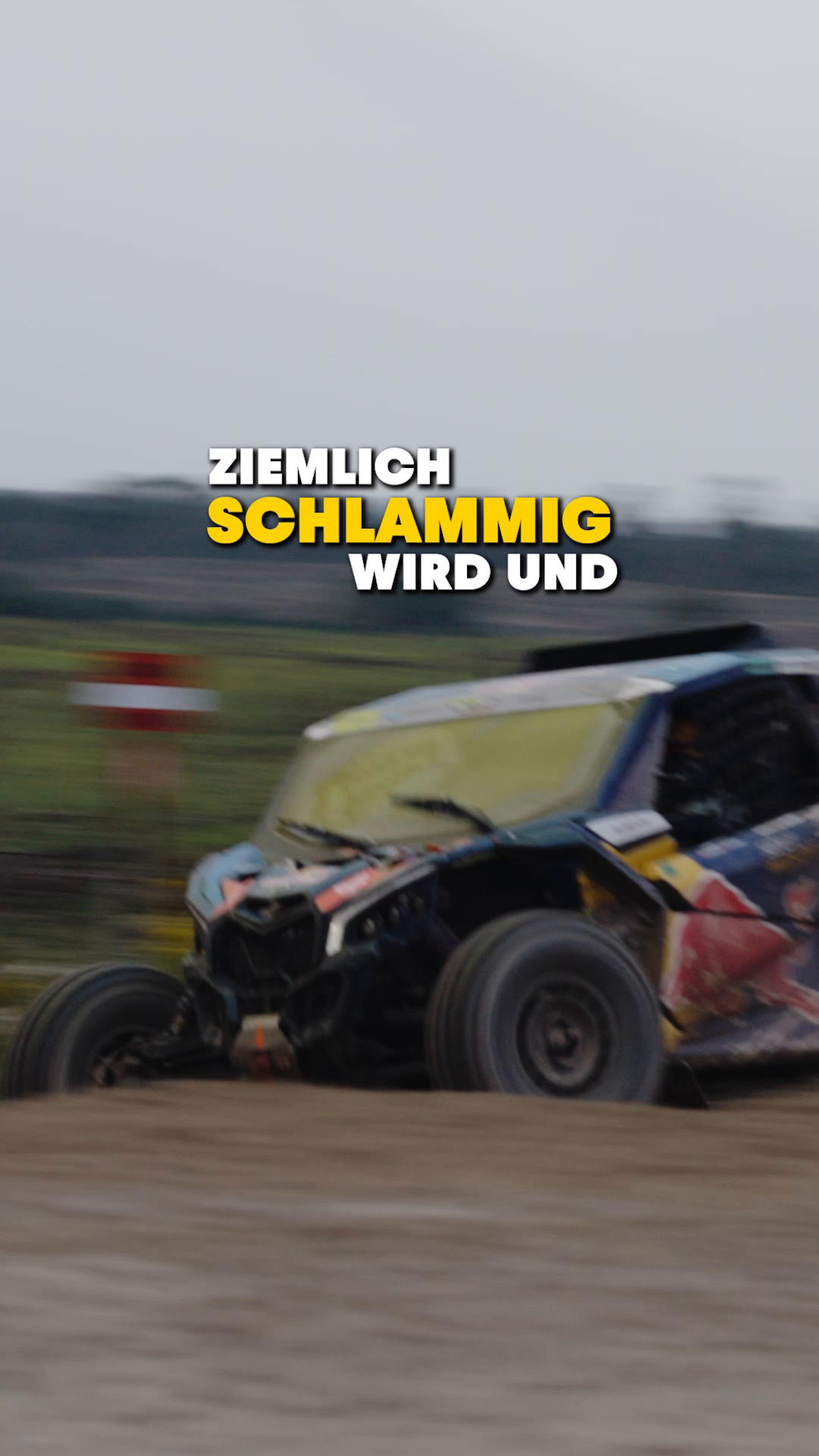 @Red Bull Austria