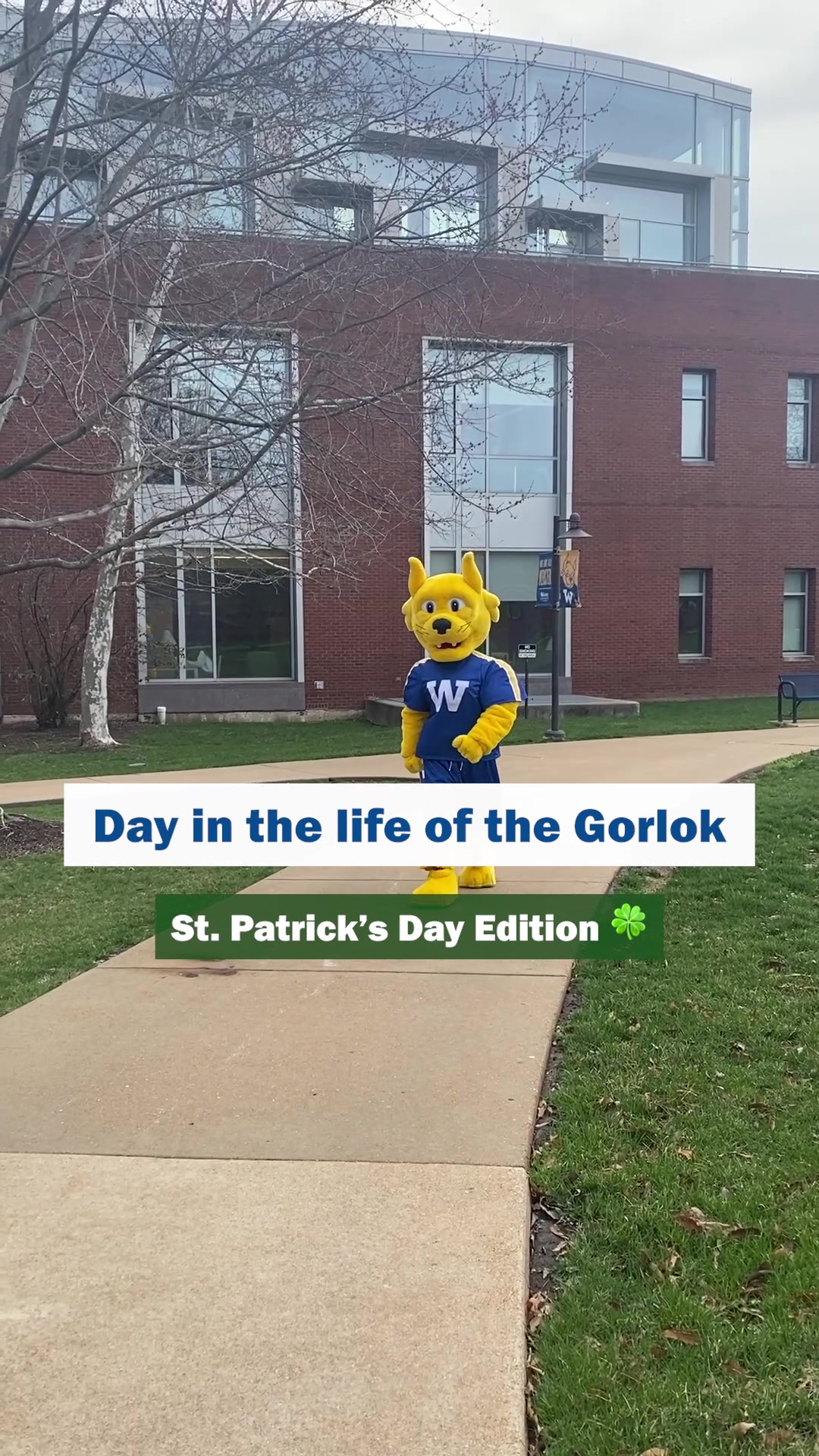 @Webster University