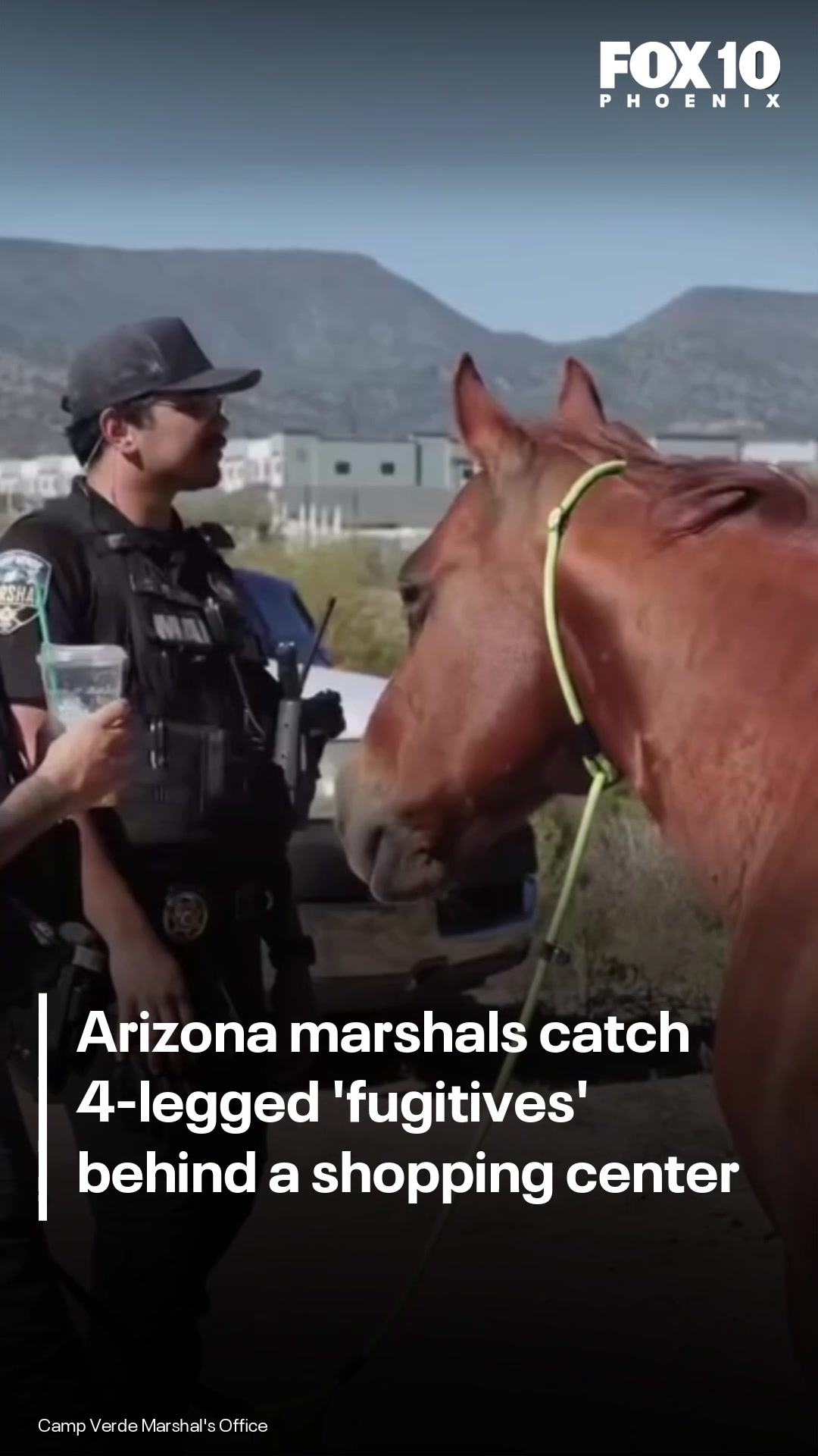 @FOX 10 Phoenix