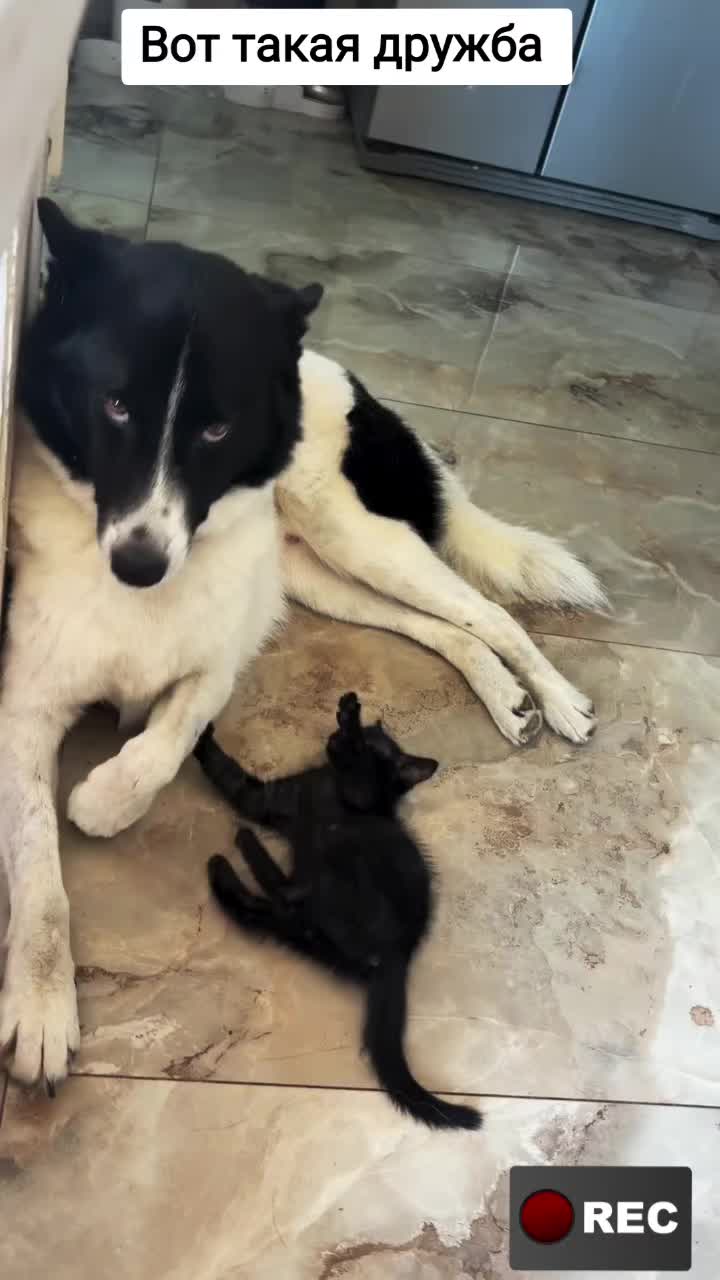 @Лариса
