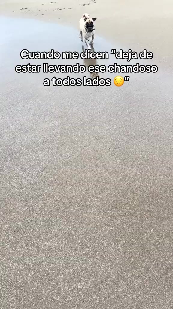@Alexa&elcarnalchiss