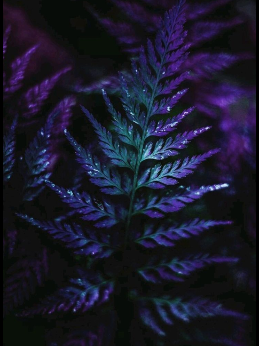 @☆𝖙𝖊𝖘𝖘𝖆☆
