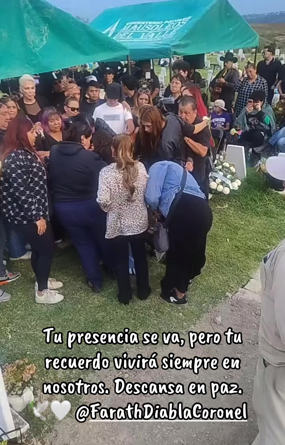@Fátima Velasco