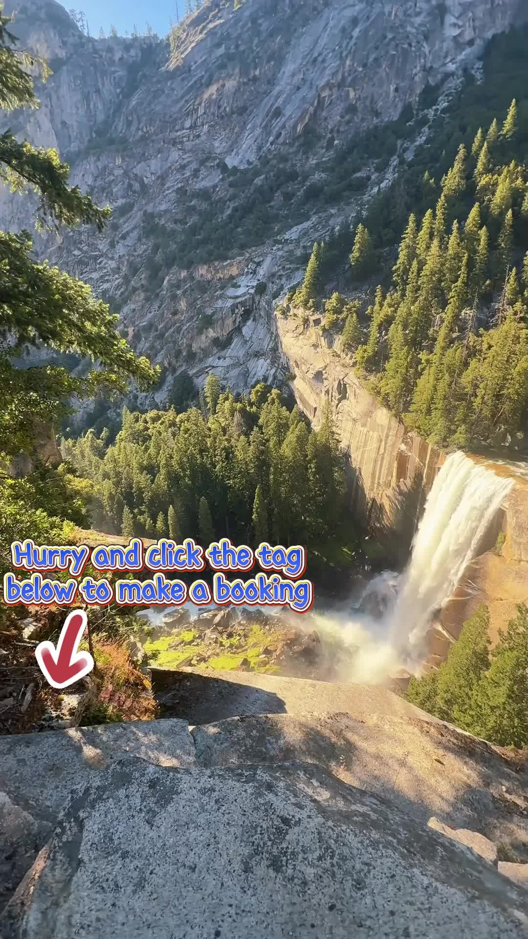 @palyajzmo45