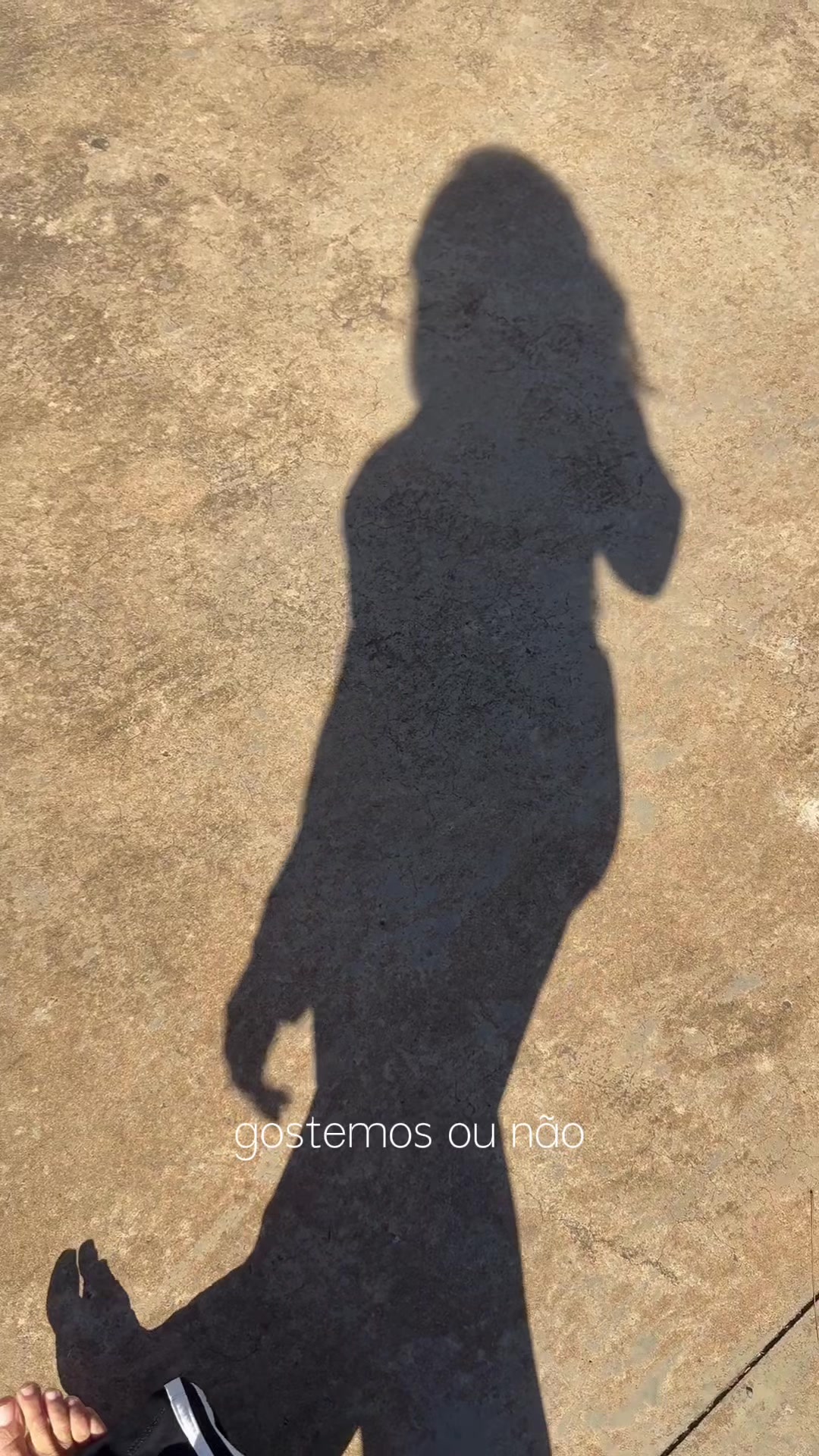 @Carol Assun&ccedil;&atilde;o