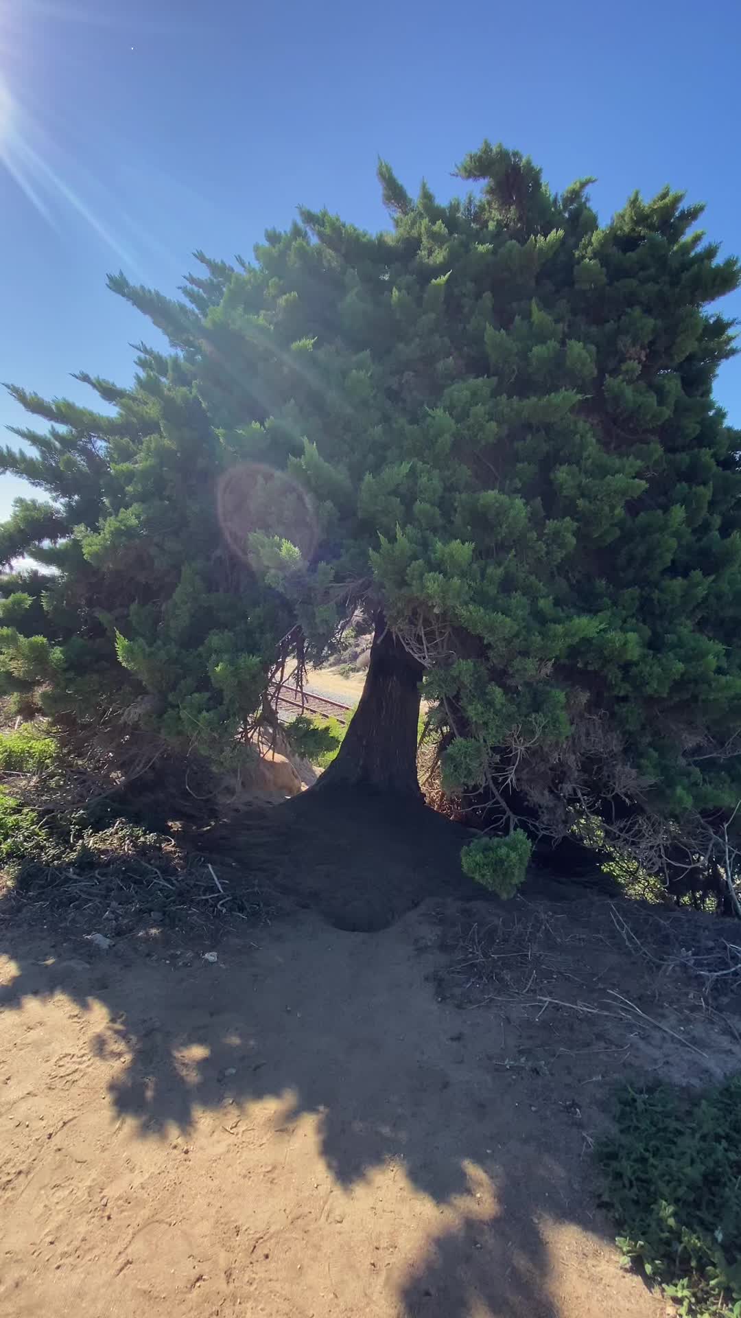 @⠀
