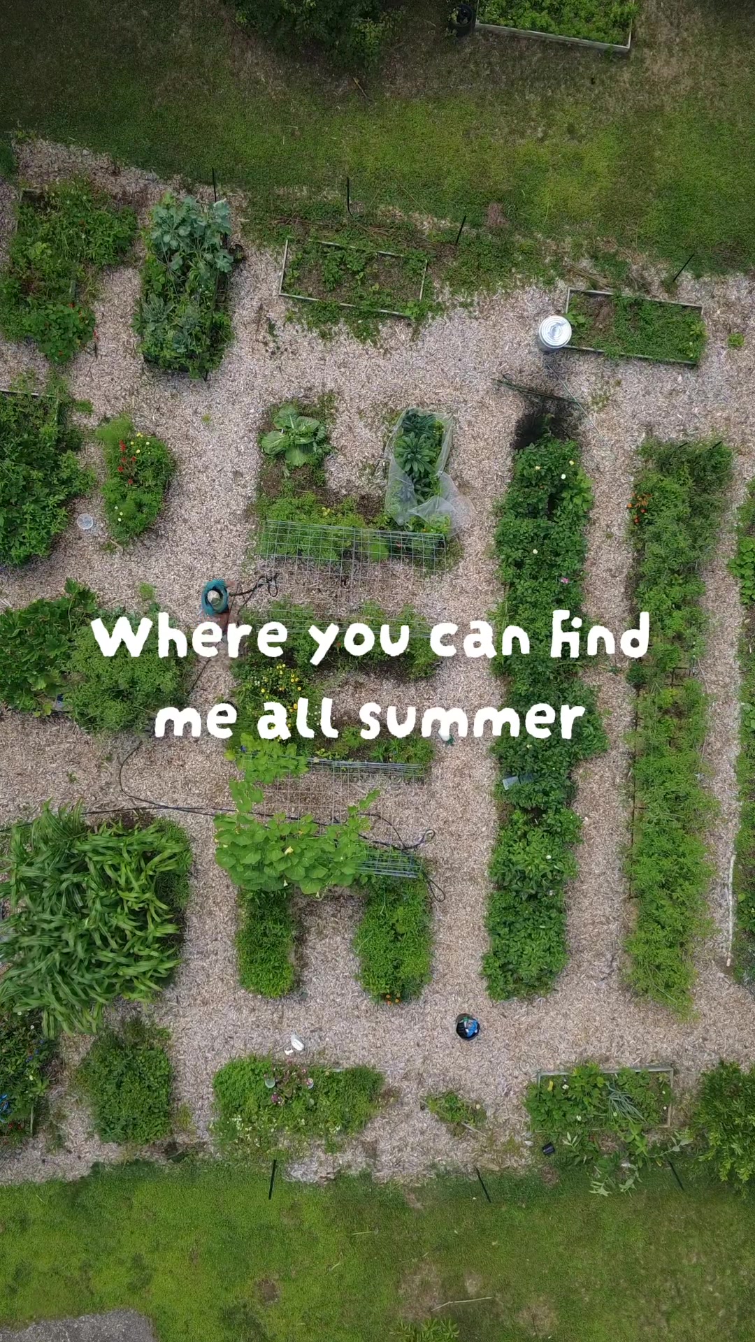 @Manica | zone 6a gardener