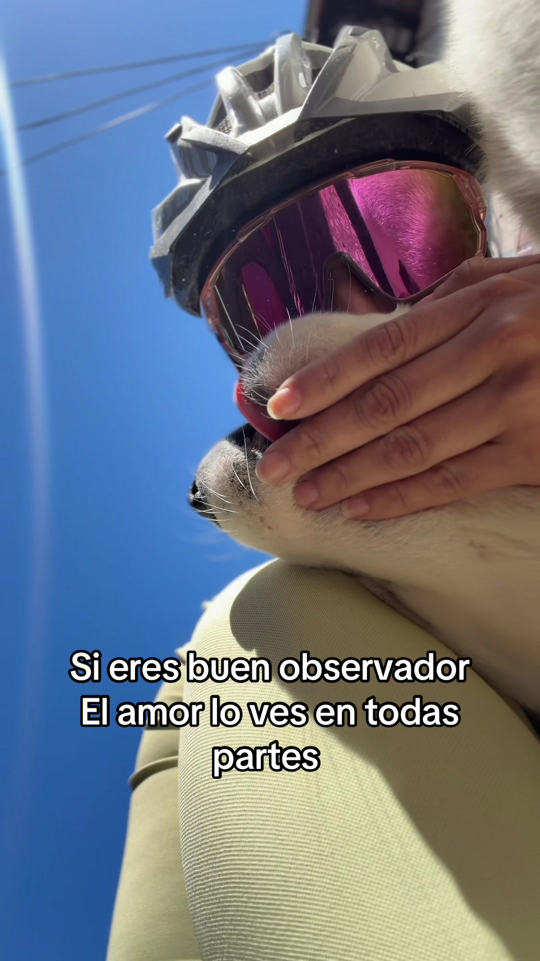 @Nicol 🧿✨️🧹