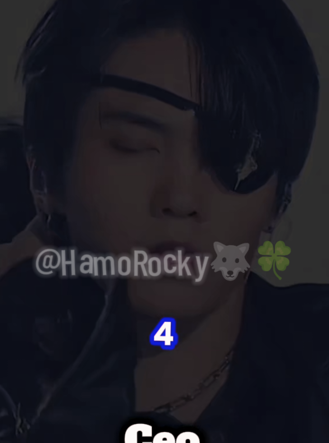 @Hamo Rocky🐺🍀