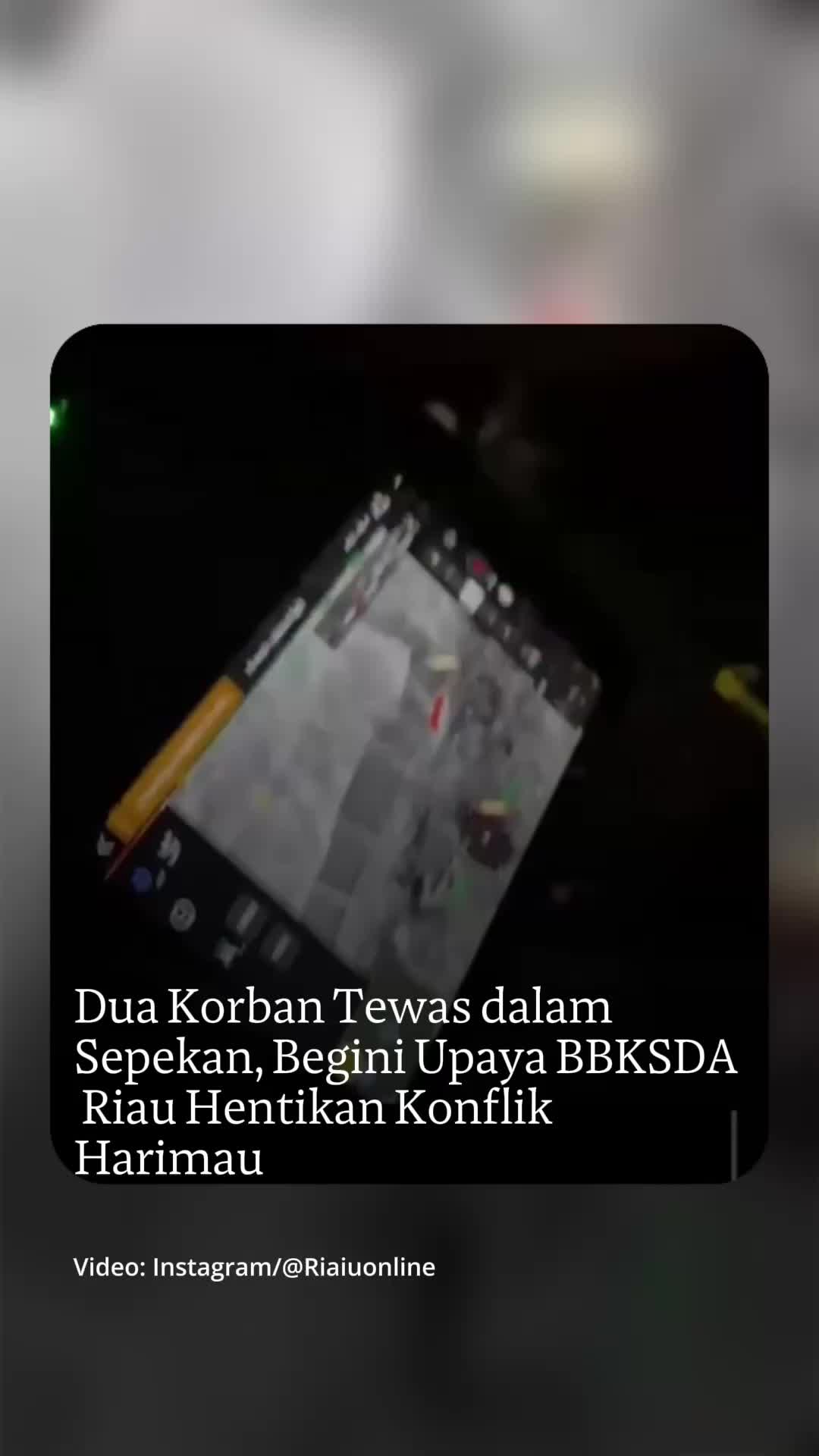 @mongabayindonesia