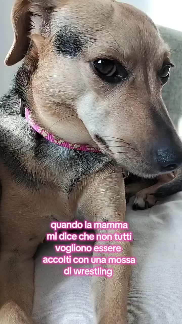 @PamDem