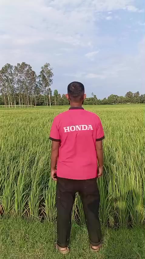 @＊✿❀ -अहमद- ❀✿＊