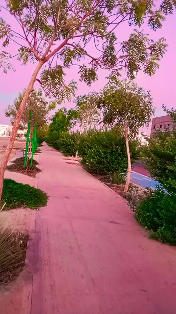 @Niyaj