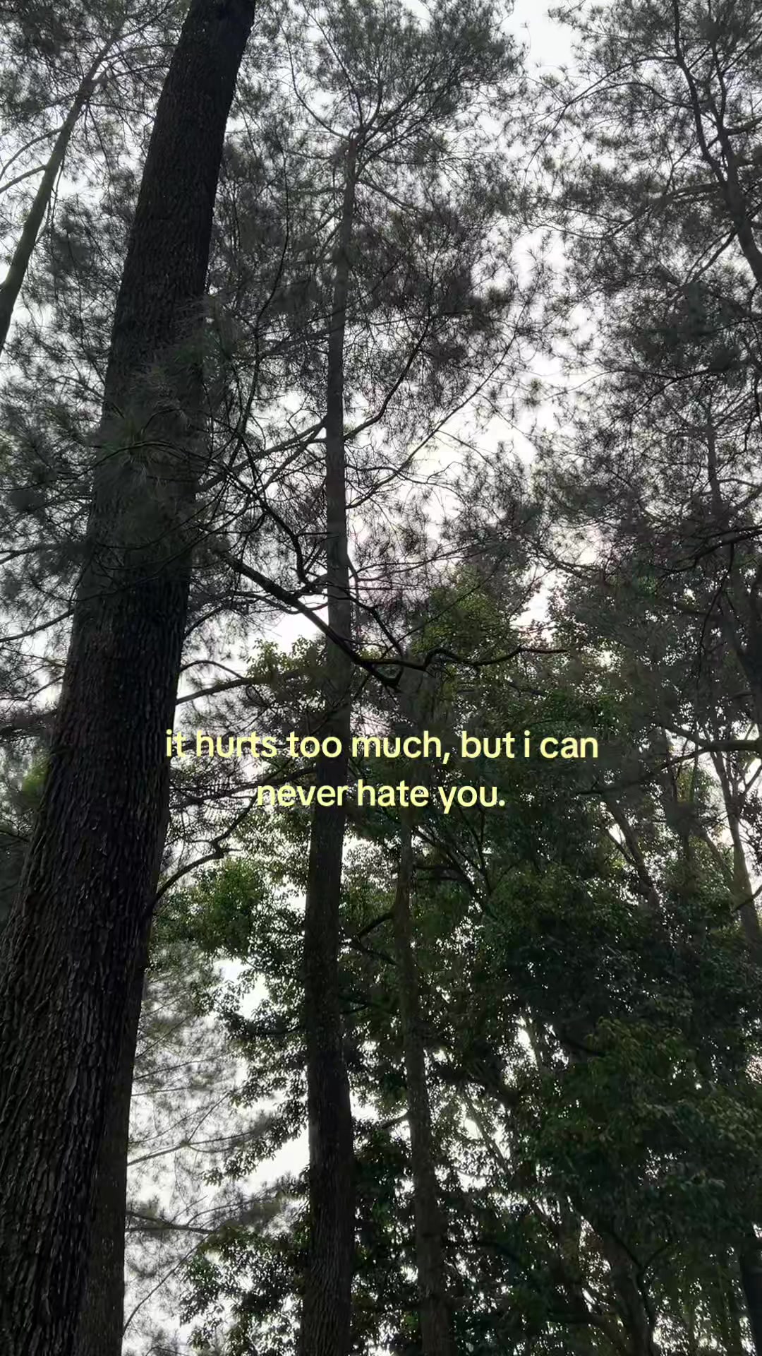 @weknowlah_