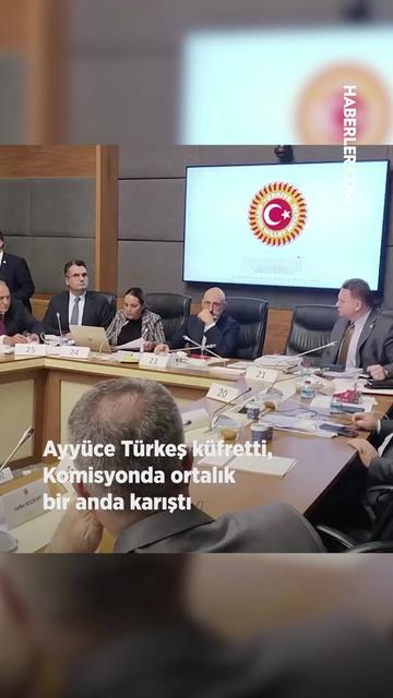 @haberlercom