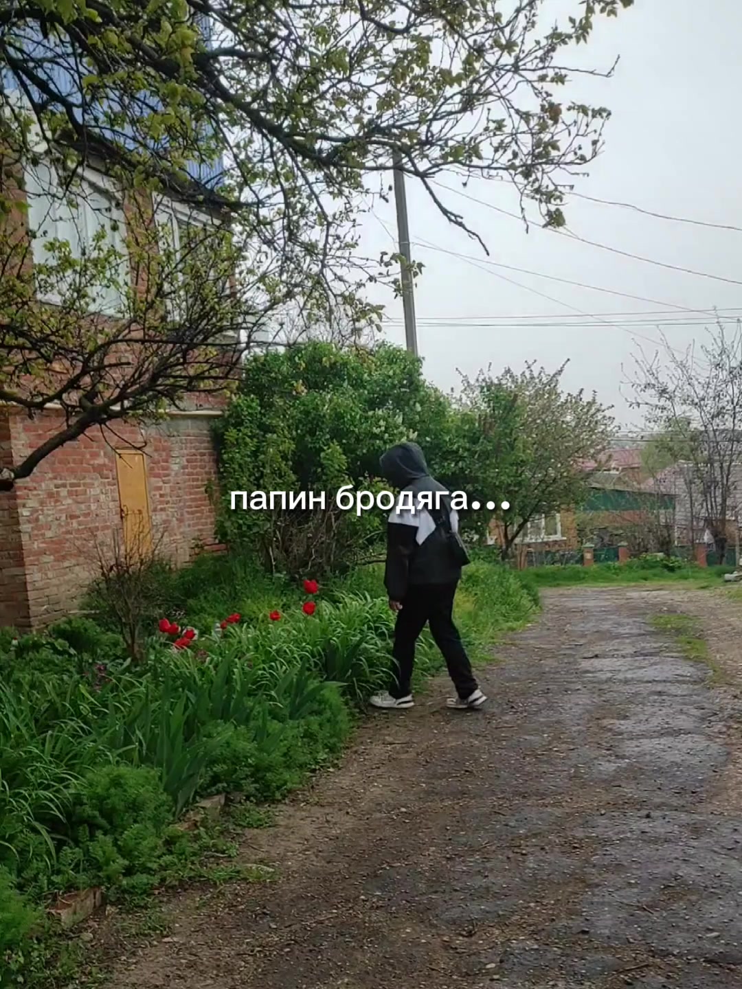 @𝔖𝔥𝔢𝔳𝔦𝔞