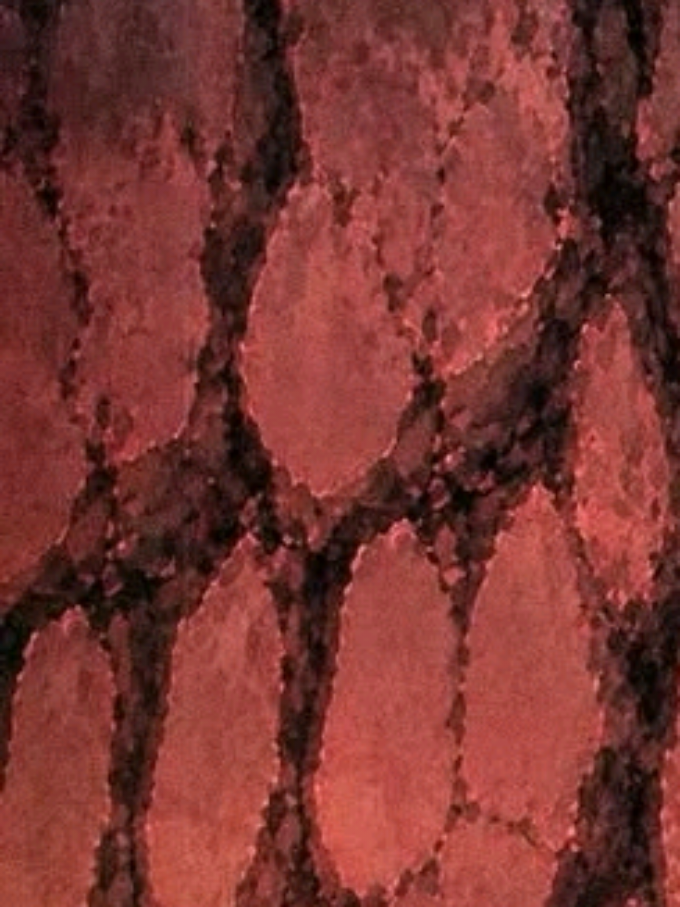 @𝙱𝙸𝙰 𖦤