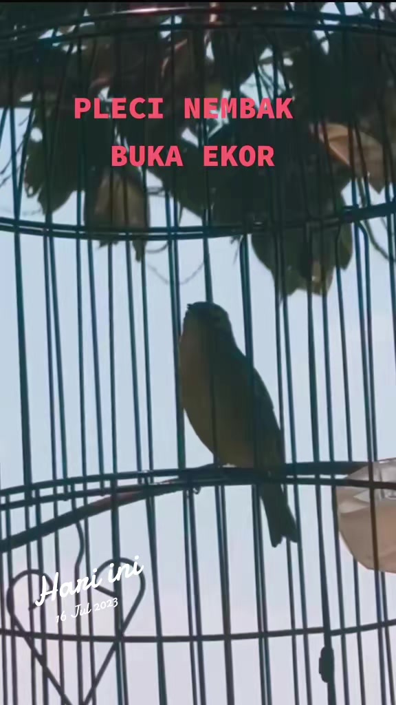 @totalbukpar