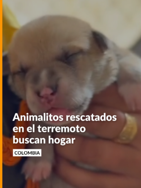 @Noticias Caracol
