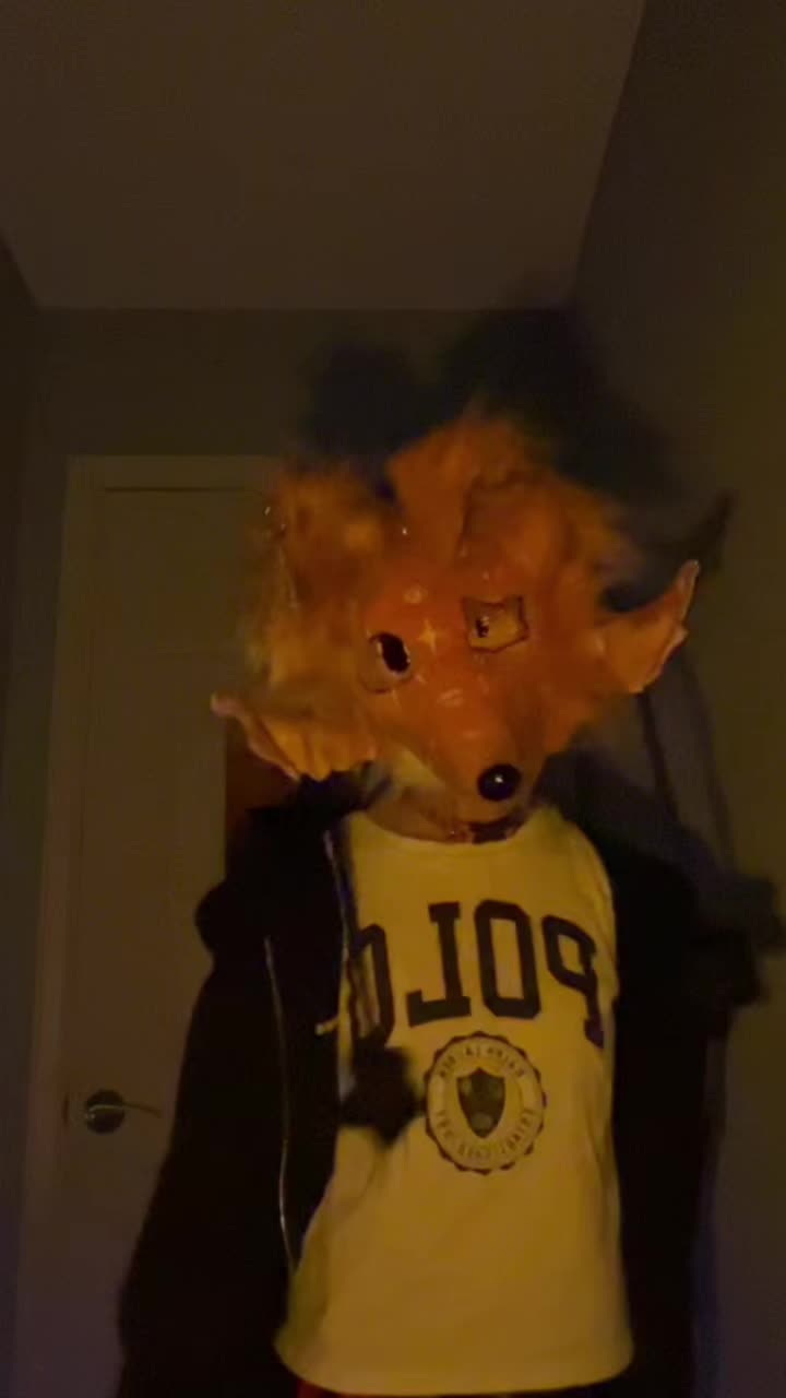 @Floyd._.paws