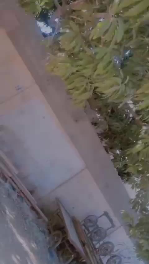 @ubhad