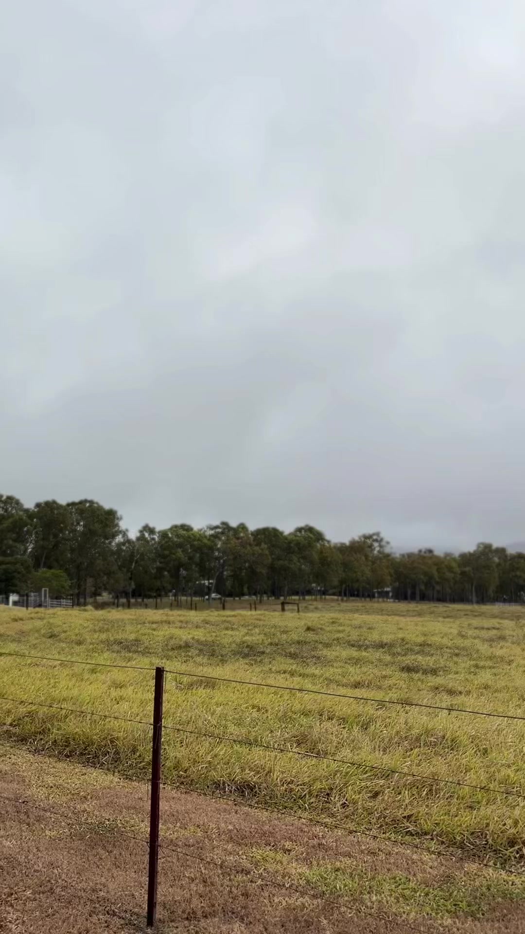 @𝙼𝚊𝚌𝚎🇦🇺