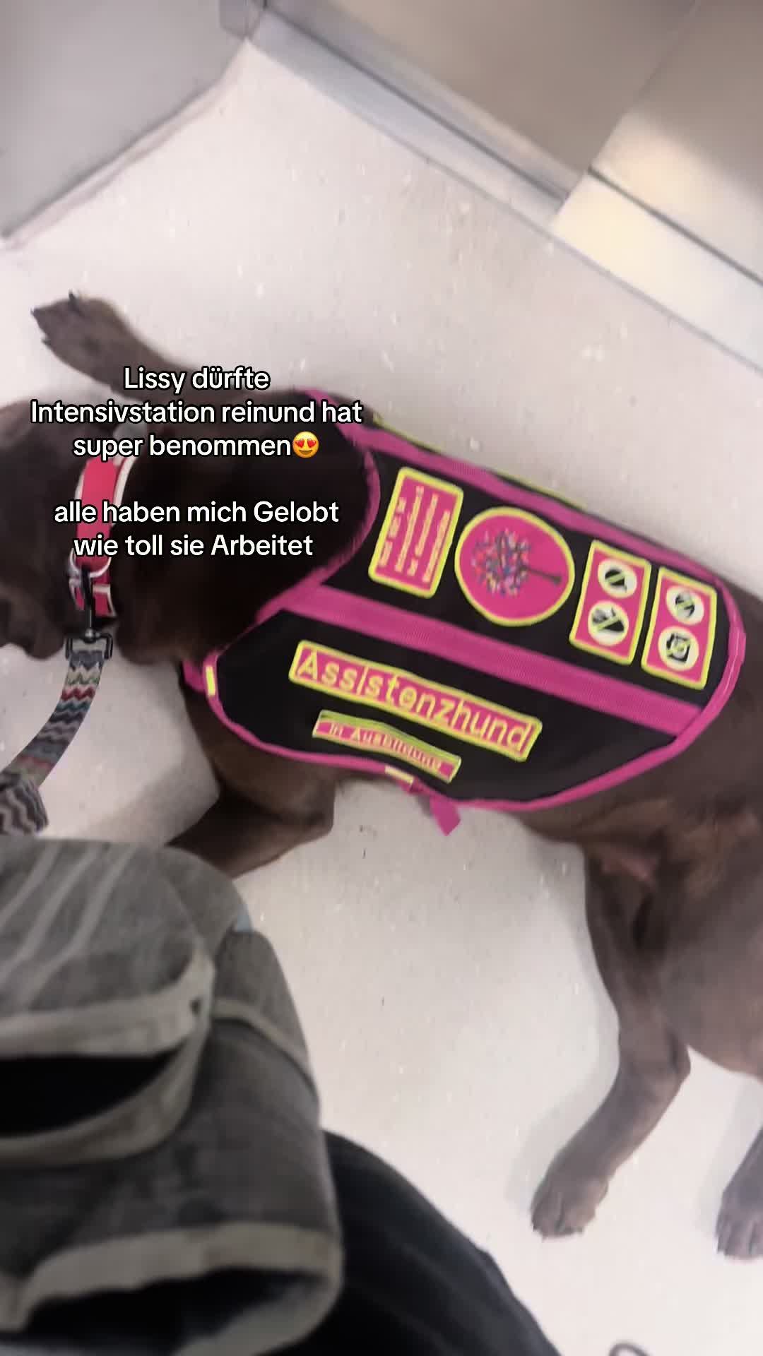 @teamlidialissy