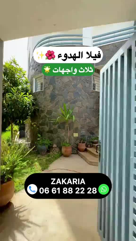 @Zakaria Haddad 🇲🇦🇵🇸