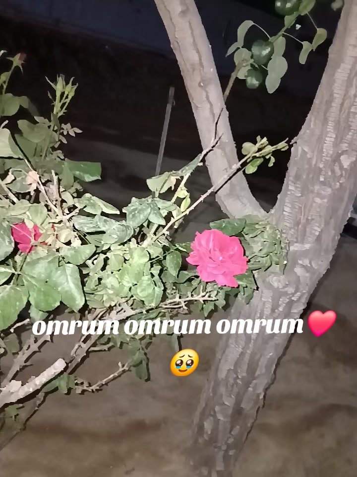 @nurana'q🫧