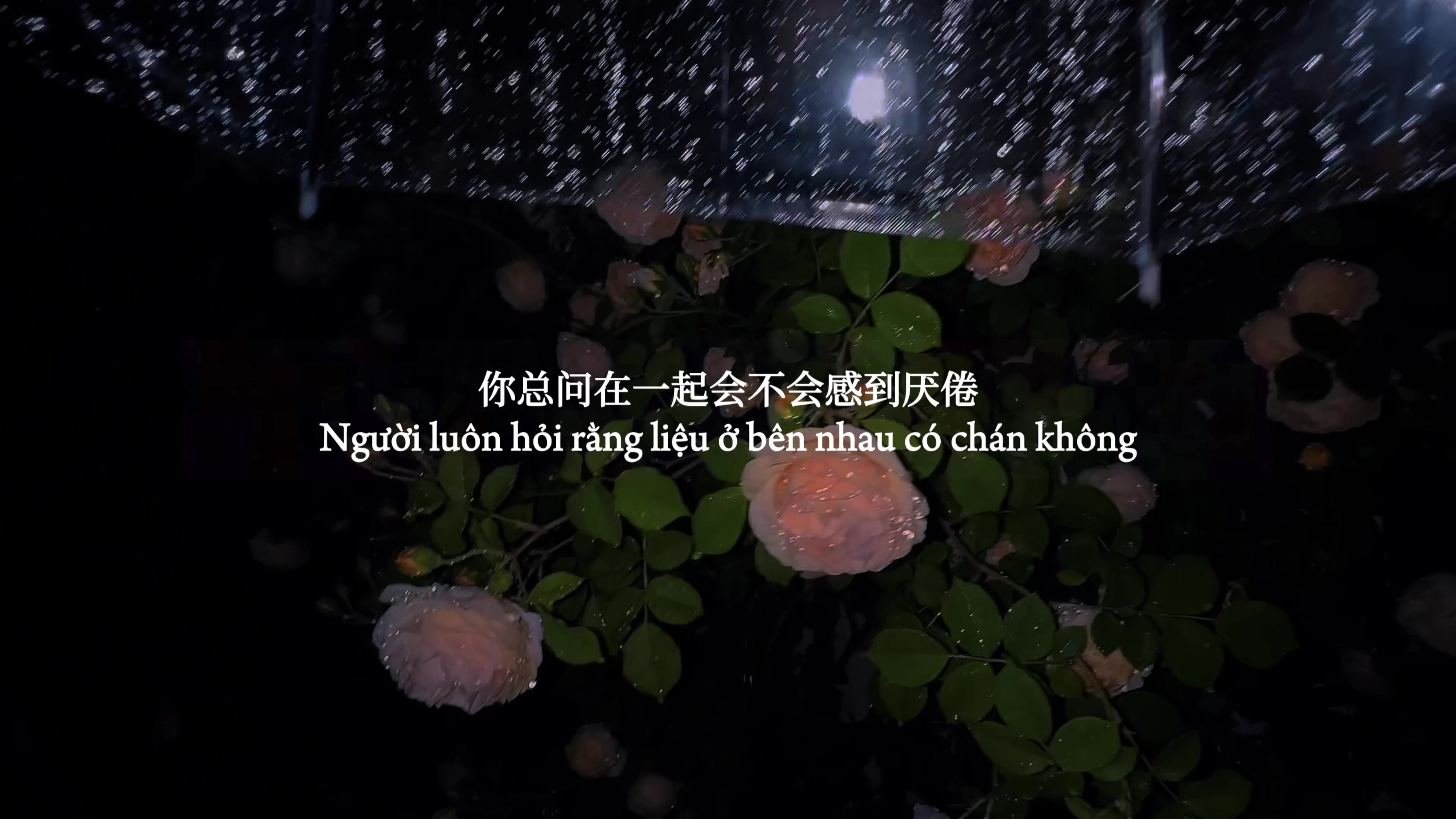 @𝒐 𝒅𝒂𝒚 𝒄𝒐 𝒏𝒉𝒂𝒄