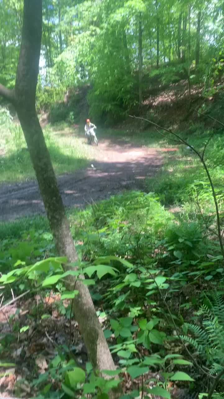 @rmz250f276boy