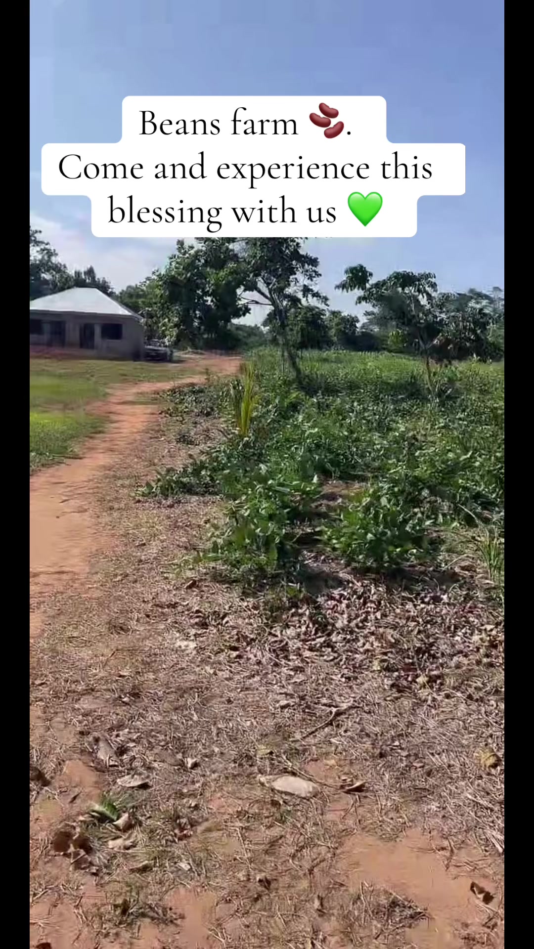 @Off Grid dR O J