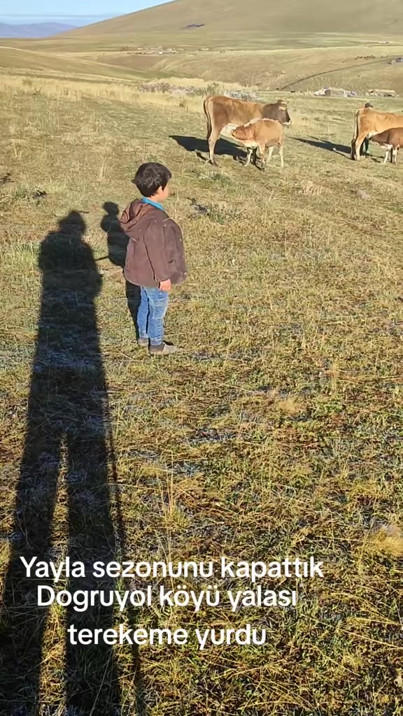 @Göksal Güneş