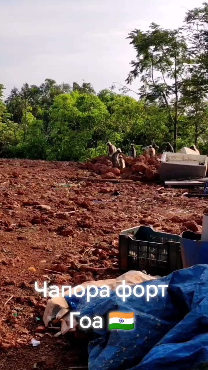 @Регина Синха