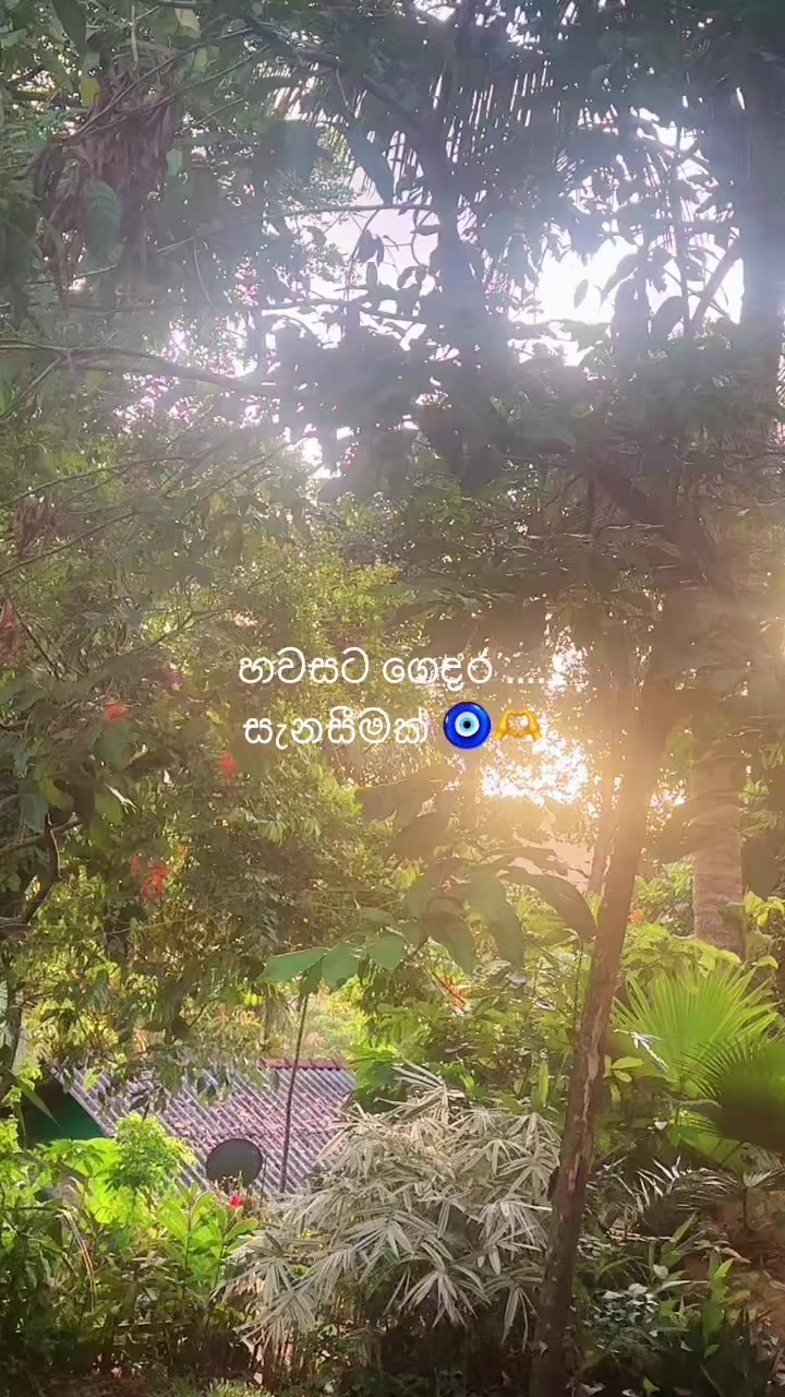 @Saam Saparamadu