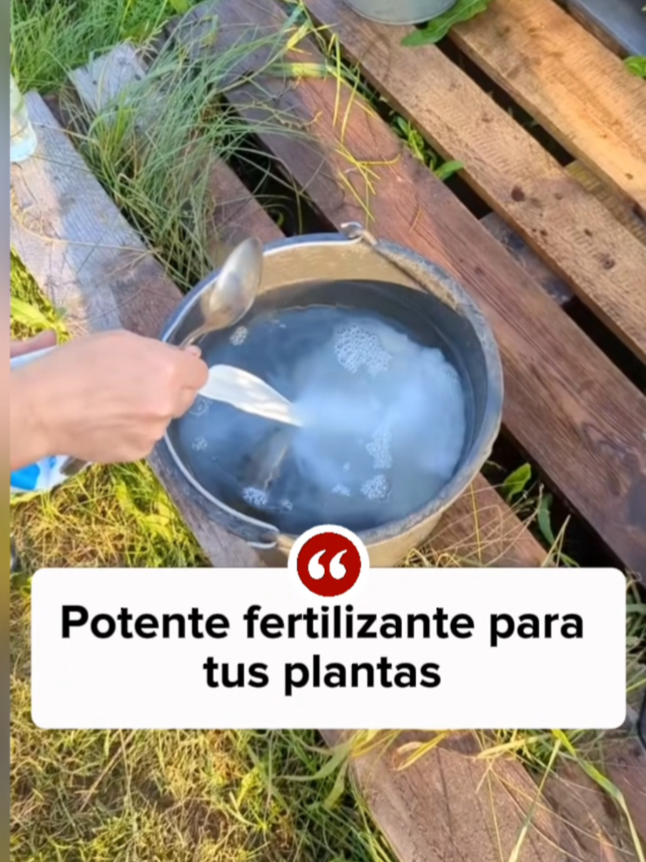 @Osshira| Jardineria y Huerto