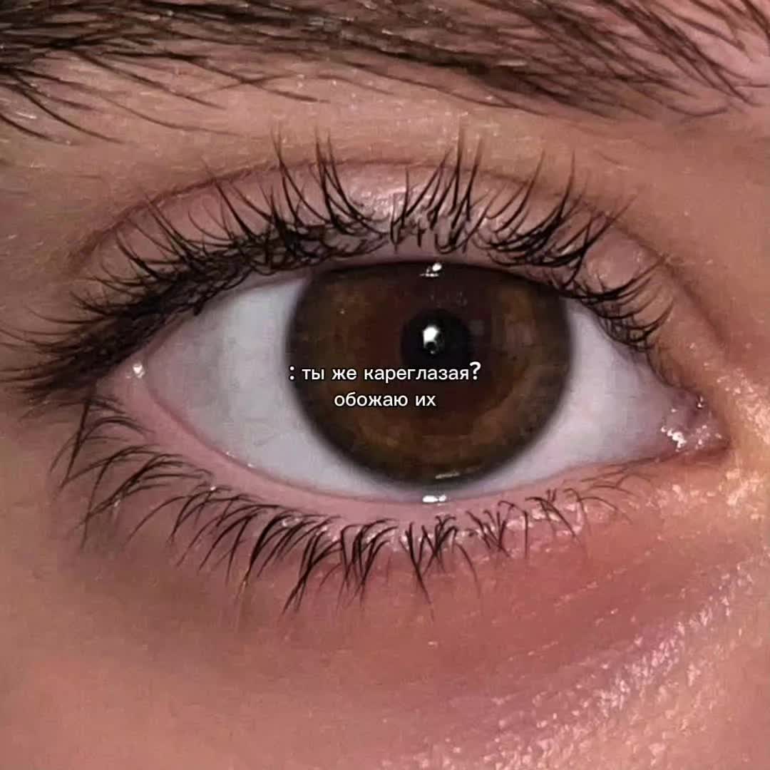 @🄺🄰🄼🄸 丰