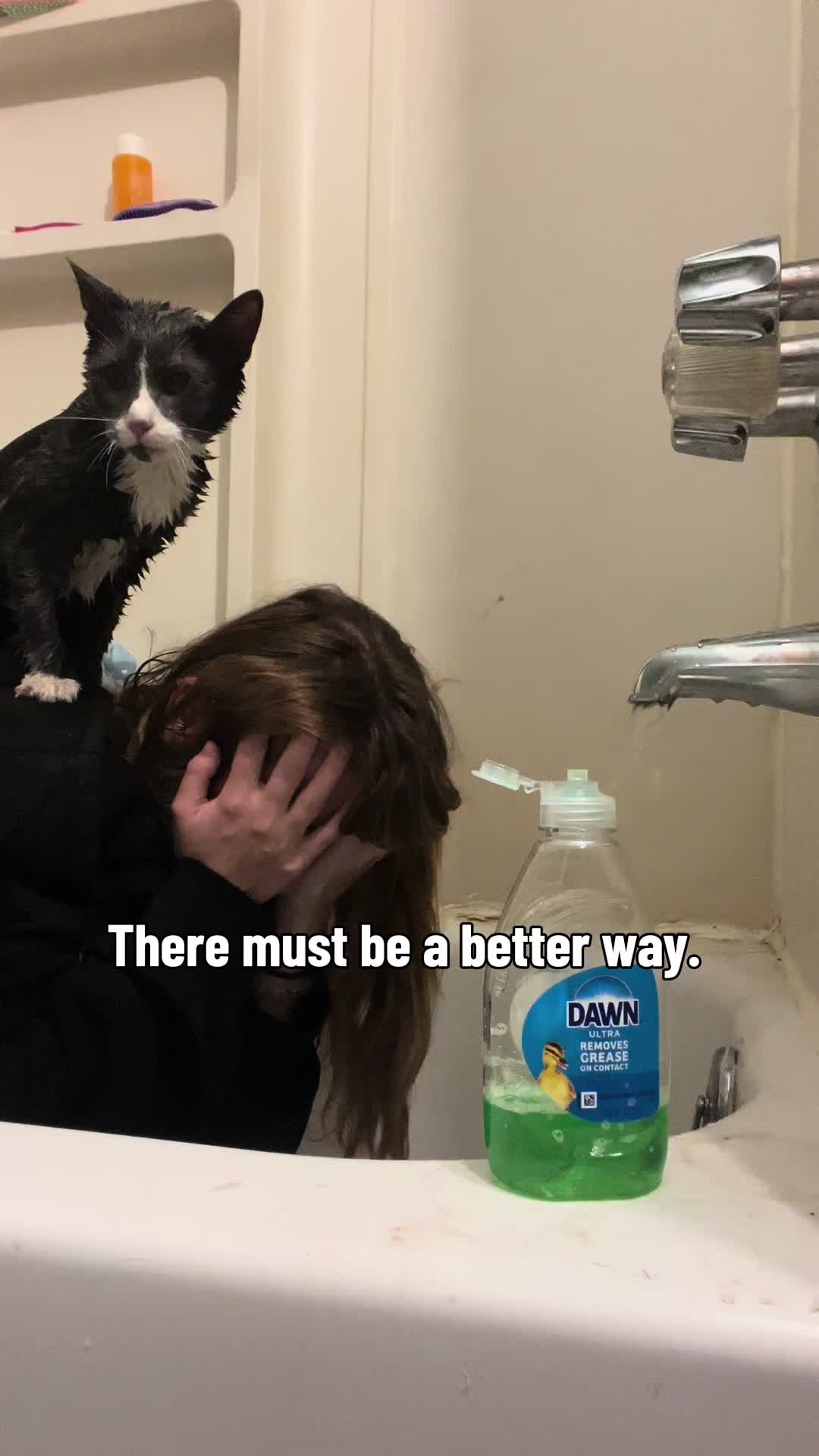 @bunnysilas1