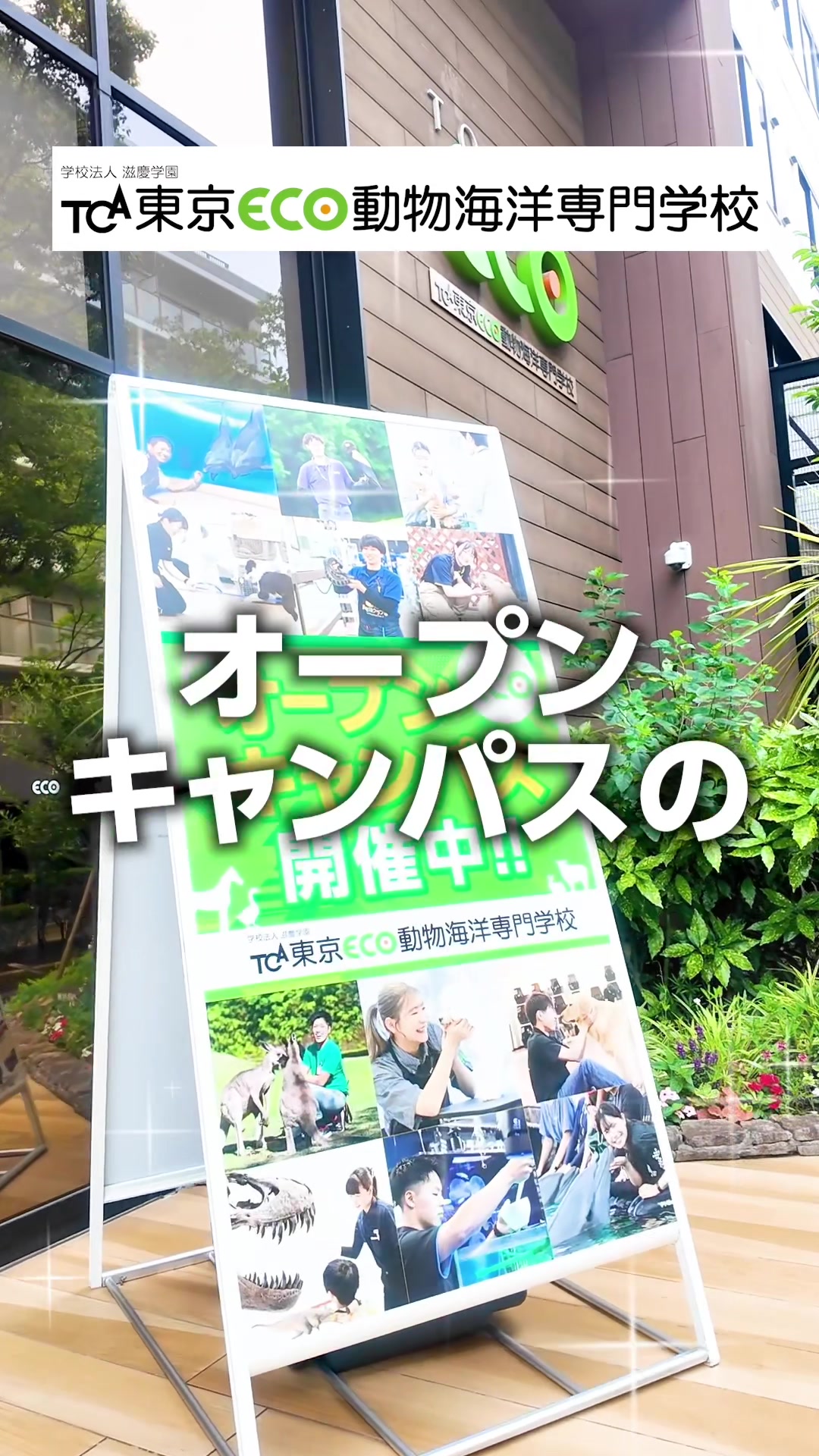 @TCA東京ECO動物海洋専門学校