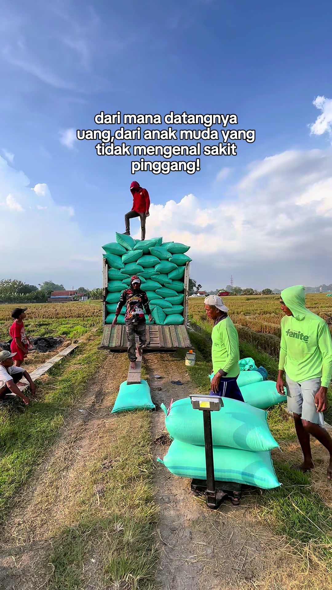 @Mutiara padi grup