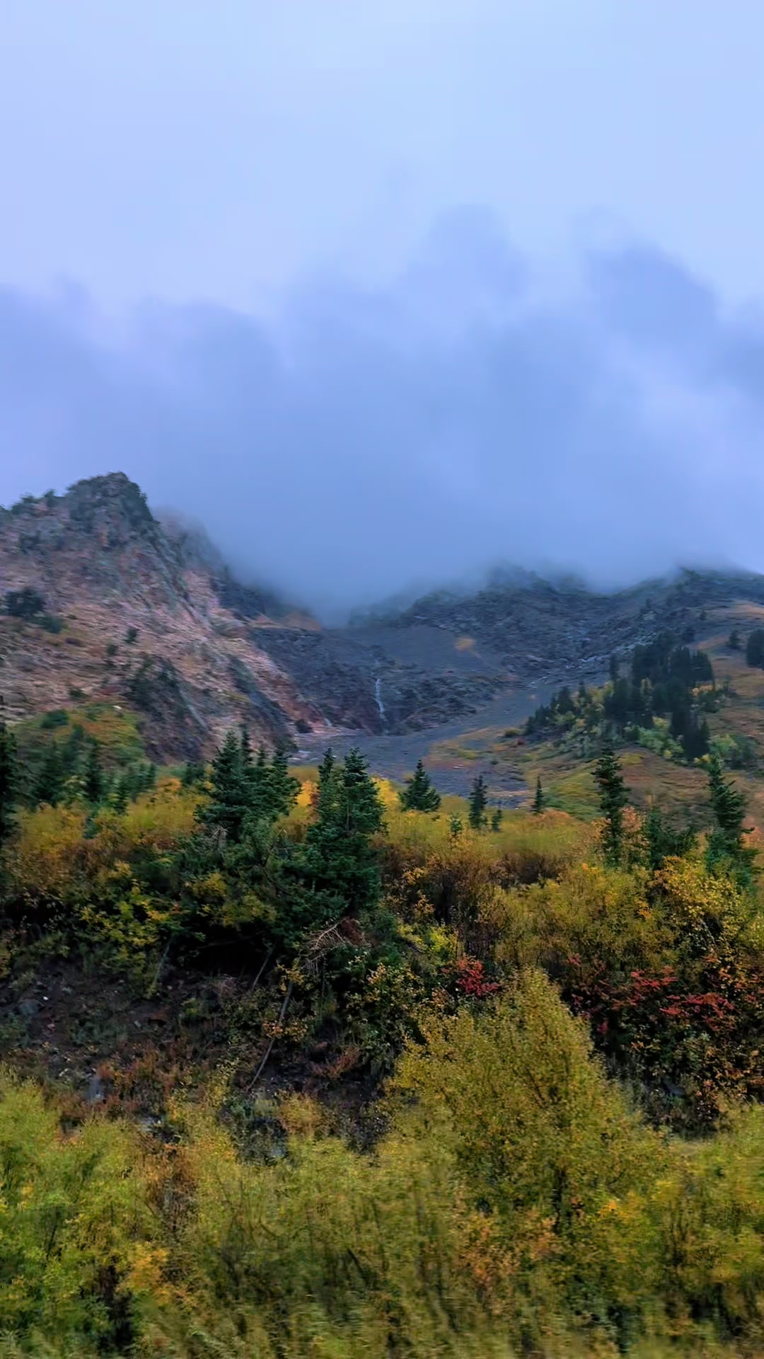 @hikingwithamelia 🏔️⛰️🥾