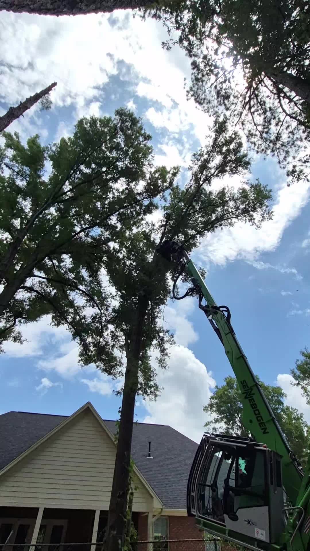 @R&G tree and landscaping