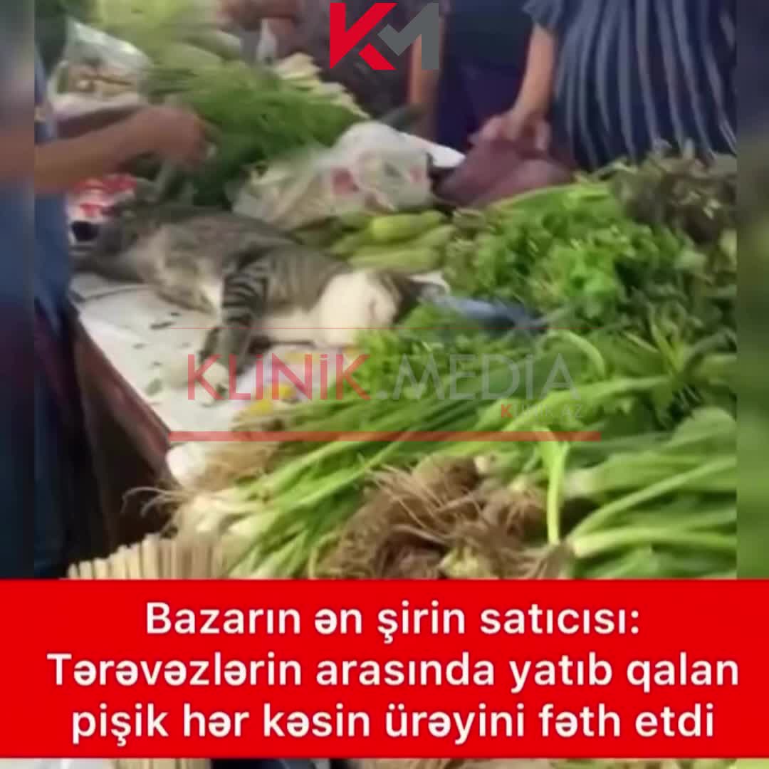 @klinik.media