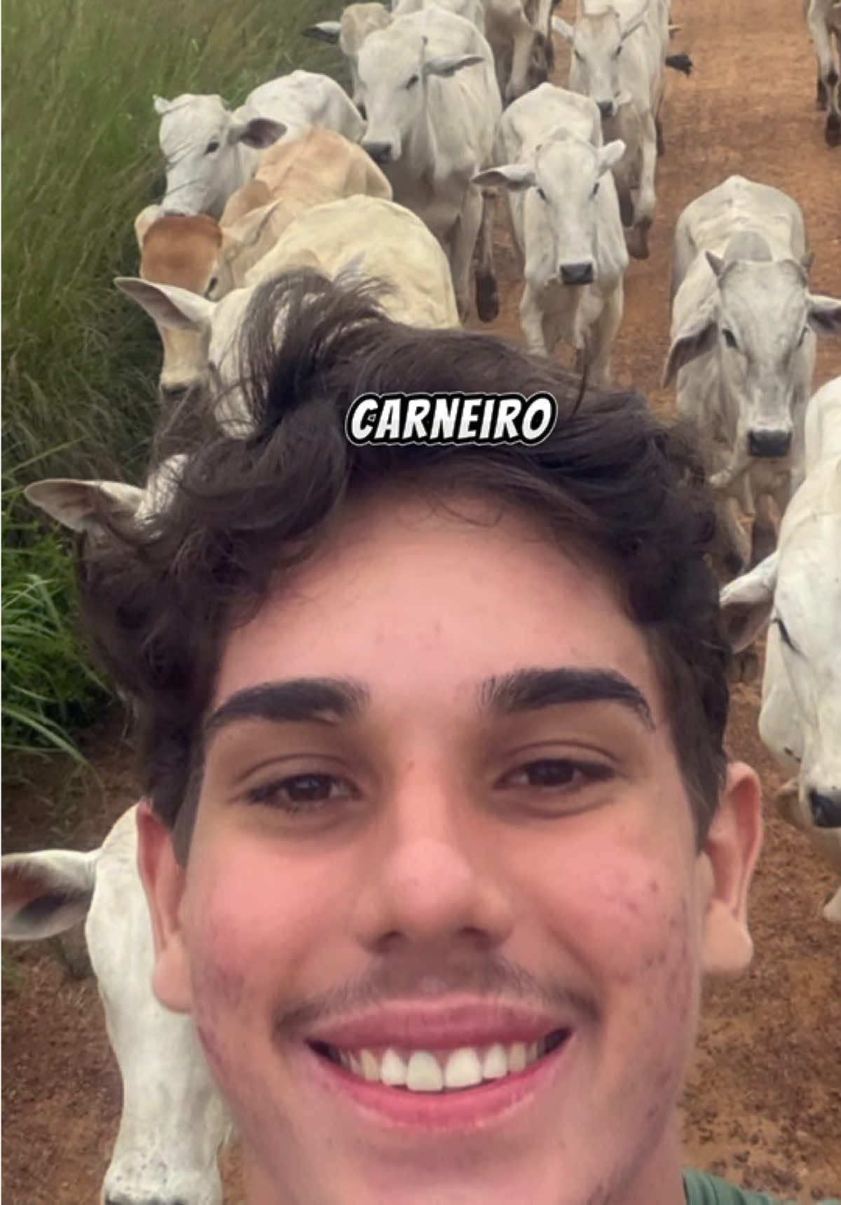 @lari notícias
