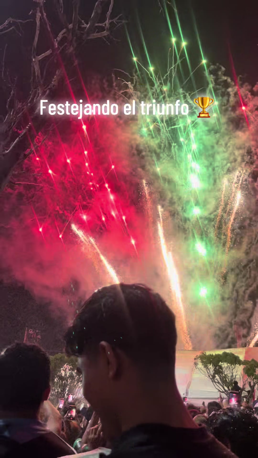 @v&iota;cĸy avalos