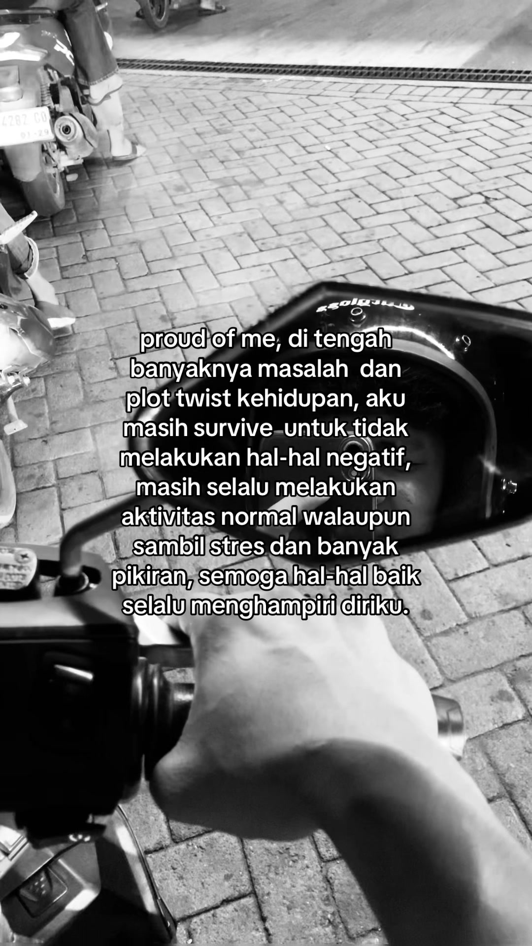 @maullll